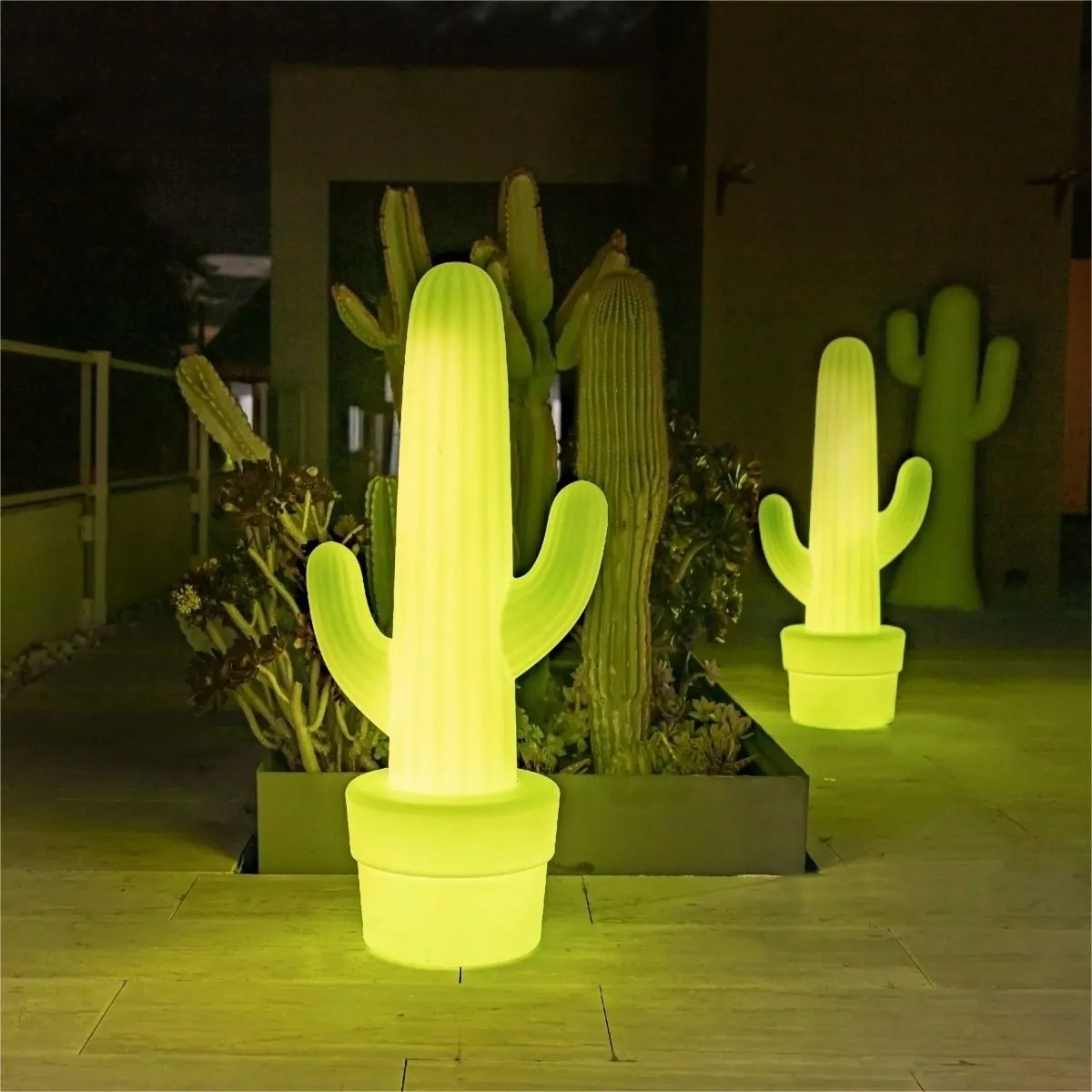 image śliwa kaktus, kaktus, ozdoba ogrodowa, zielony żarówkowy kaktus, doniczka