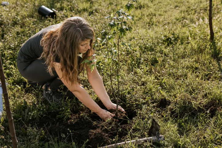 Ogród, Natura, Na zewnątrz, Ogrodnictwo, Osoba