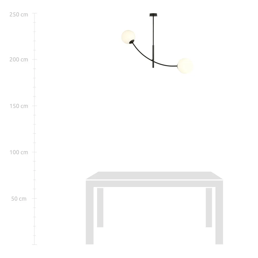 Lampa sufitowa HUNTER Czarny 1102/2 - 1102/2