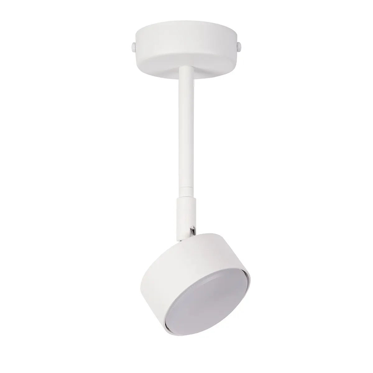 Lampa sufitowa/plafon NEMO 1 M biały