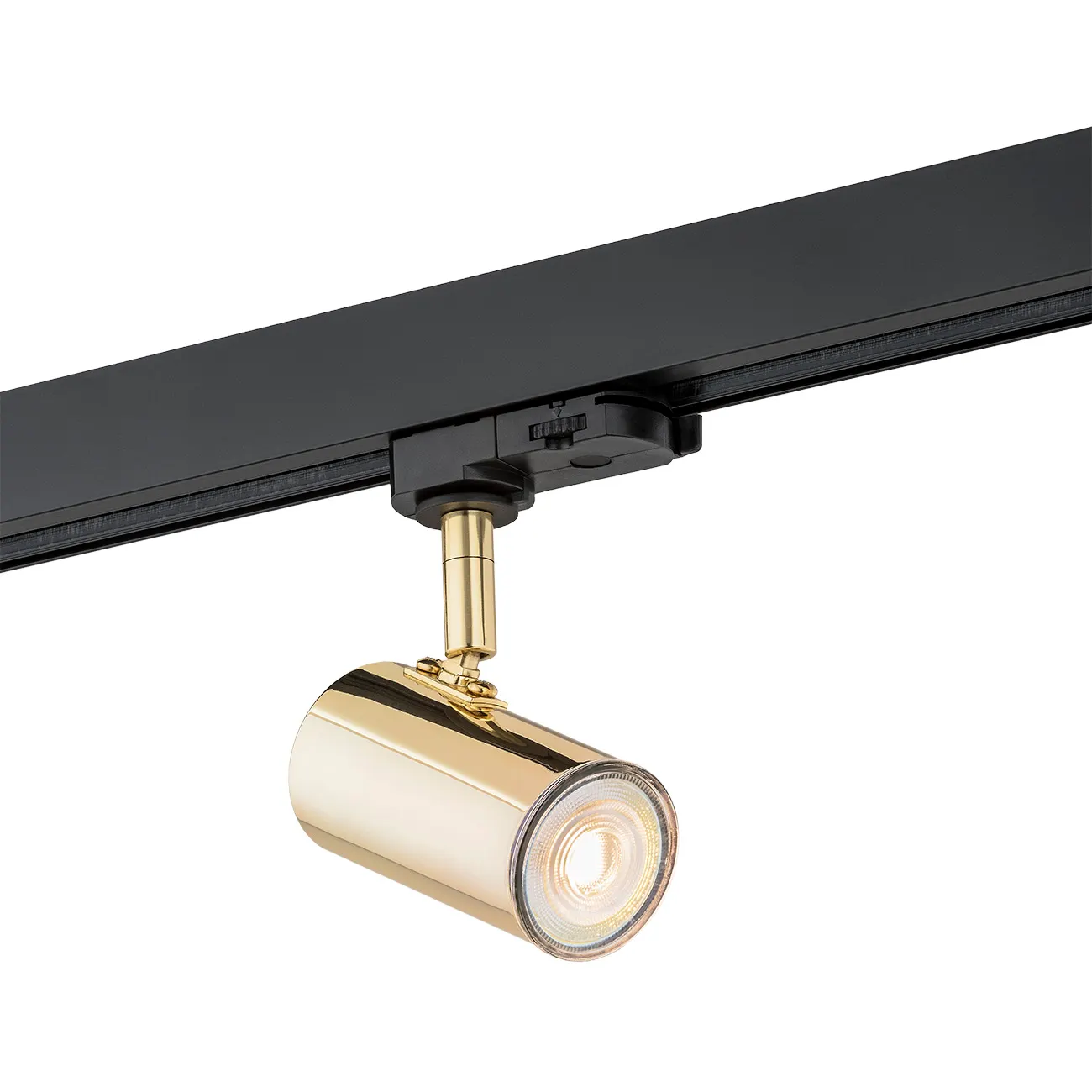 Reflektor HORTA metalowy mosiądz czarny regulowany z możliwością montażu na szynie Reflektor HORTA metalowy mosiądz czarny regulowany z możliwością montażu na szynie