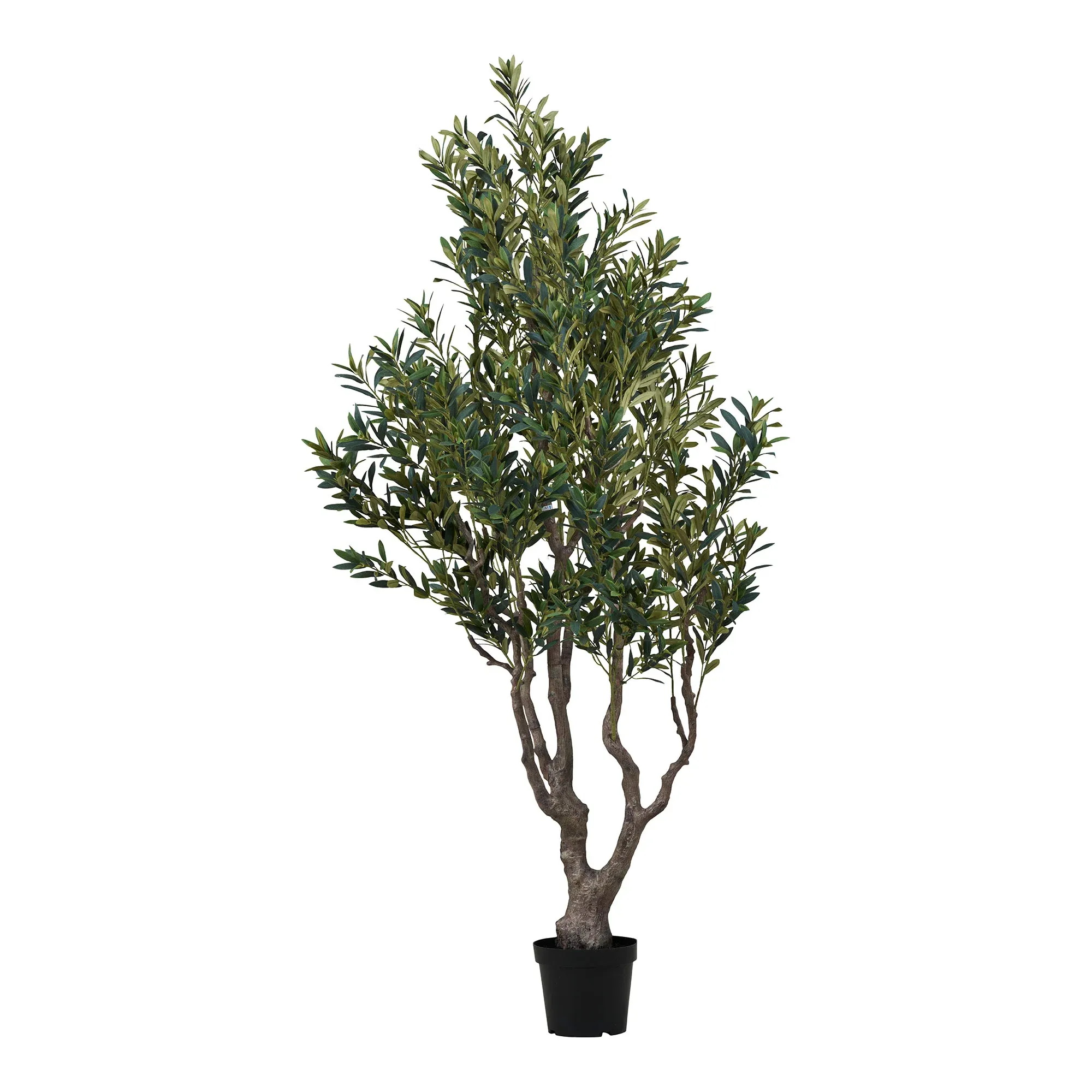Drzewo oliwne OLIVE 220cm