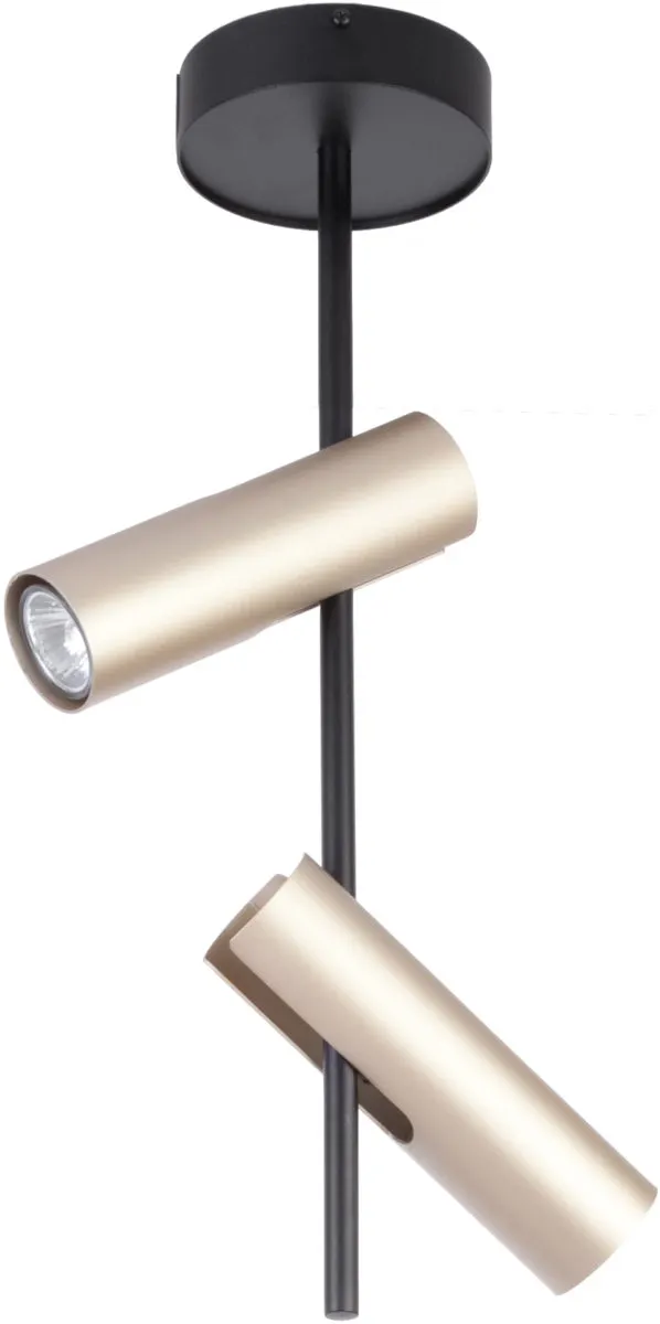 Plafon LEDA 2 reflektory czarno-złote