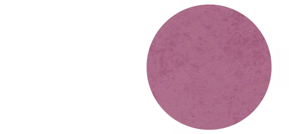 Krzesło dziecięce Petit Szary Visto 08 rozmiar 4 WK+P - AB-A-4-D-A-VS08-B