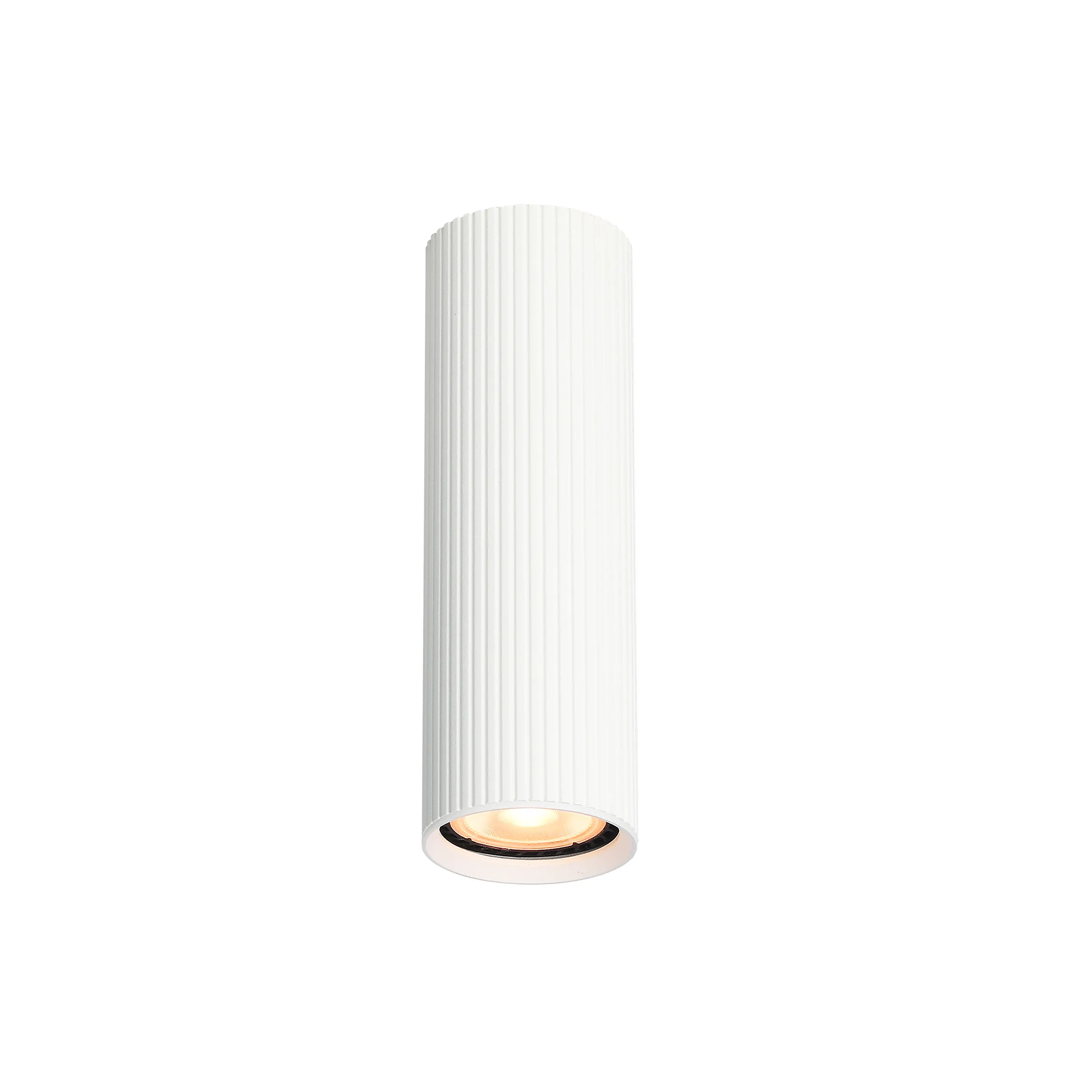 Spot TUNE biały okrągły 17x5cm - TK_10025