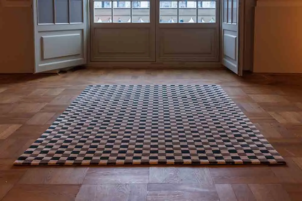 dywan, dywanik, wzorzowy, płytkowy wzór, wejście do domu