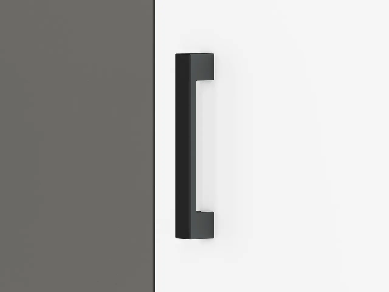 Szafa 3-drzwiowa FINI 02 biały, antracyt, dąb artisan - 1FINI02-001