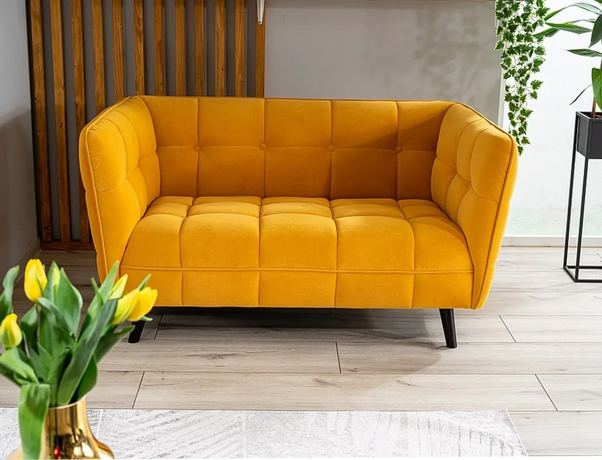 Sofa CASTELLO 2 VELVET Bluvel 68 curry wenge - CASTELLO2V68