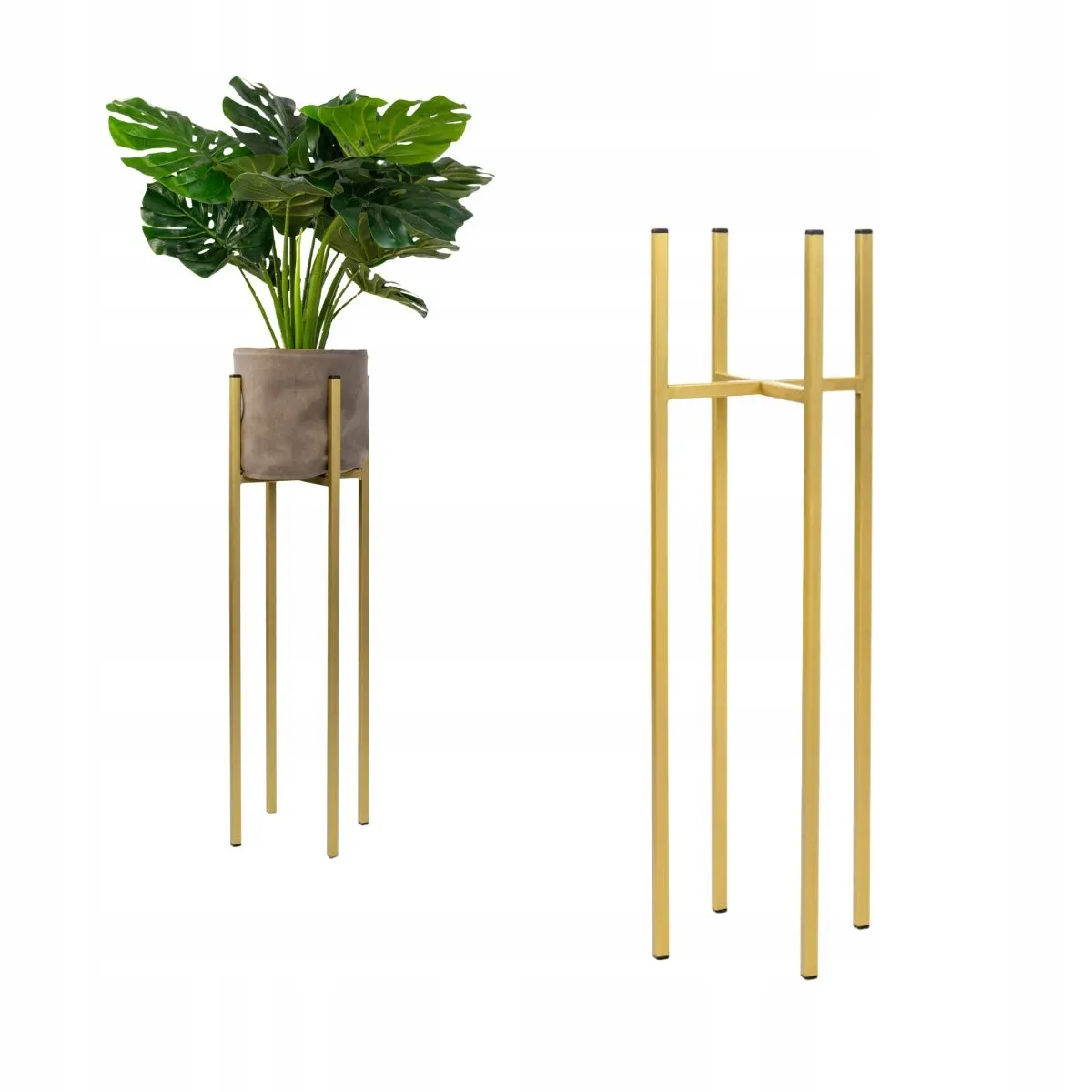 Roślina, Roślina doniczkowa, plantator, Ceramika, Wazon