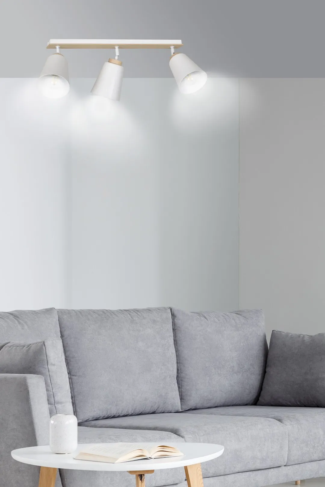 lamp, track lighting, white, sofa, coffee table