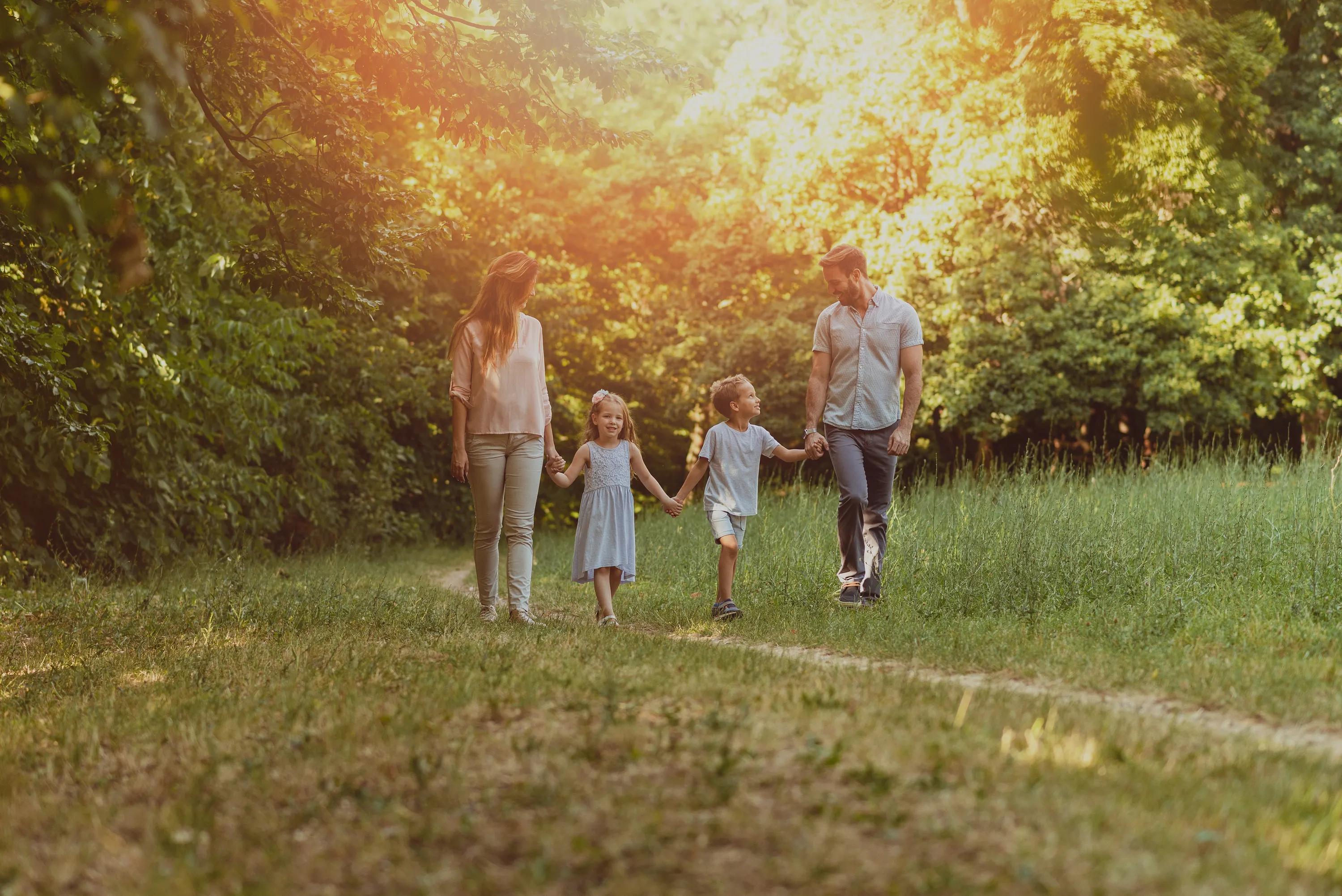 Lasy w Polsce - nasze zielone dziedzictwo Lasy w Polsce - nasze zielone dziedzictwo