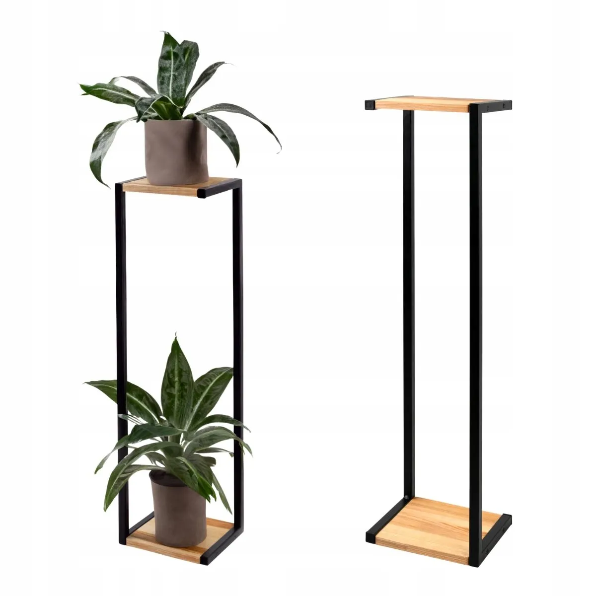 Roślina, Roślina doniczkowa, plantator, Wazon, Meble