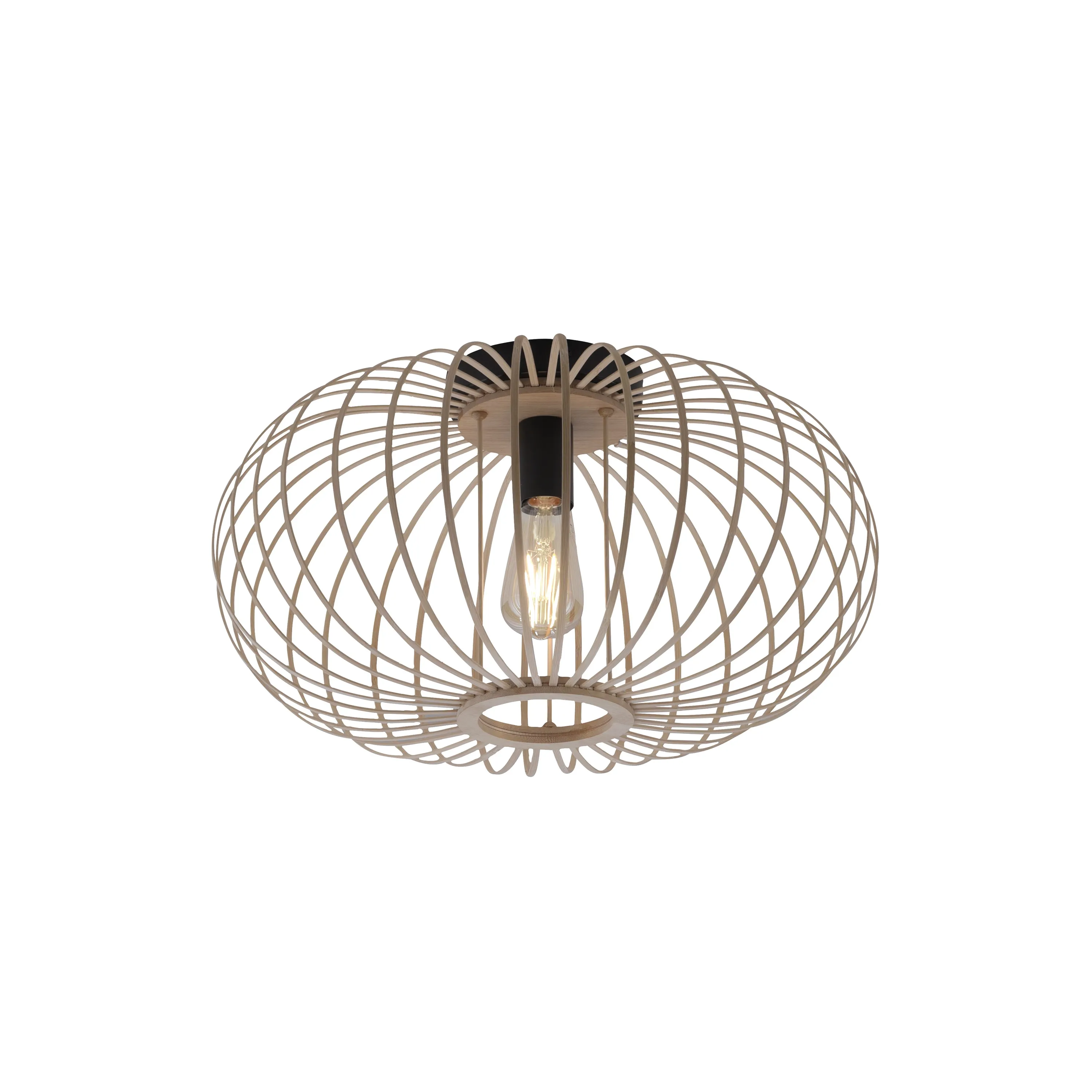 RACOON LAMPA SUFITOWA 2 RACOON LAMPA SUFITOWA 2