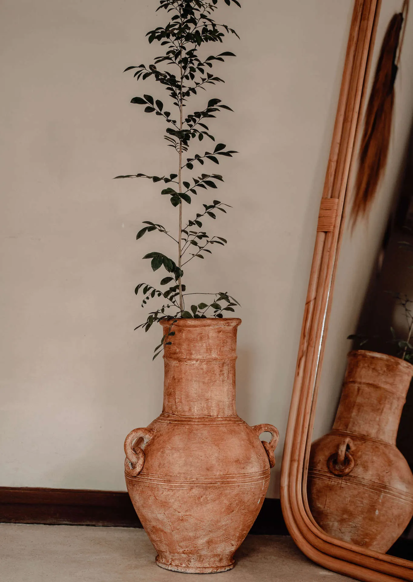 WAZON ALPHA WAZON ALPHA