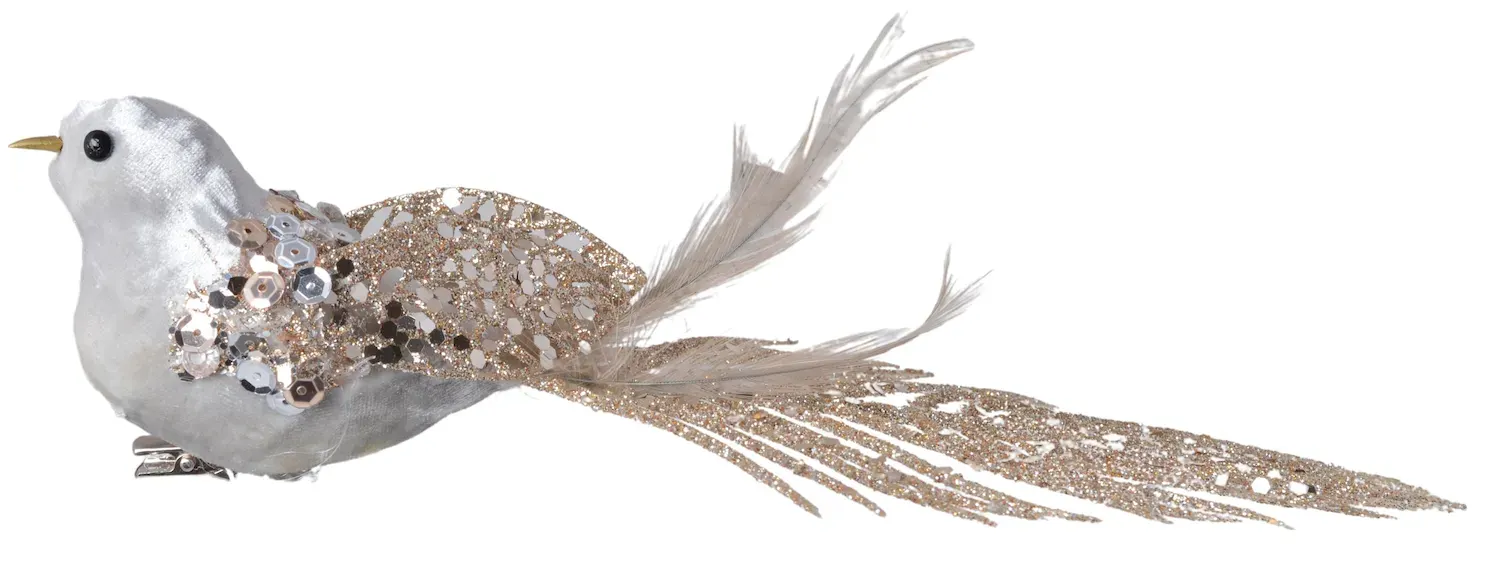 PTASZEK Z KLIPEM szampański PTASZEK Z KLIPEM szampański