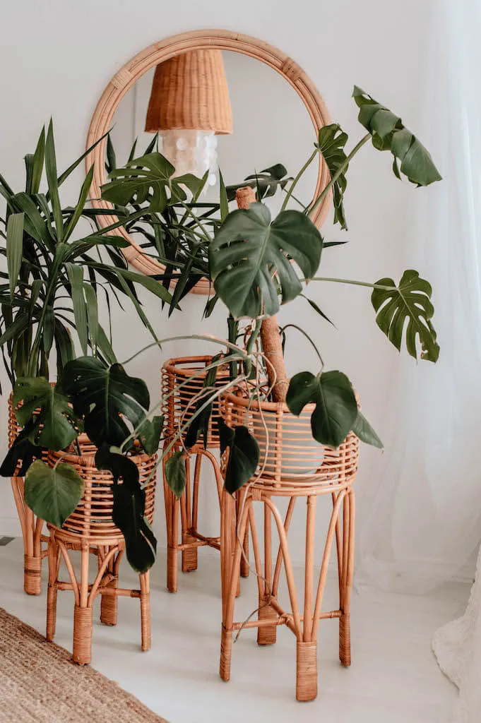 KWIETNIK POLLIE S NATURALNY Rattanowy - MMHA0111NS