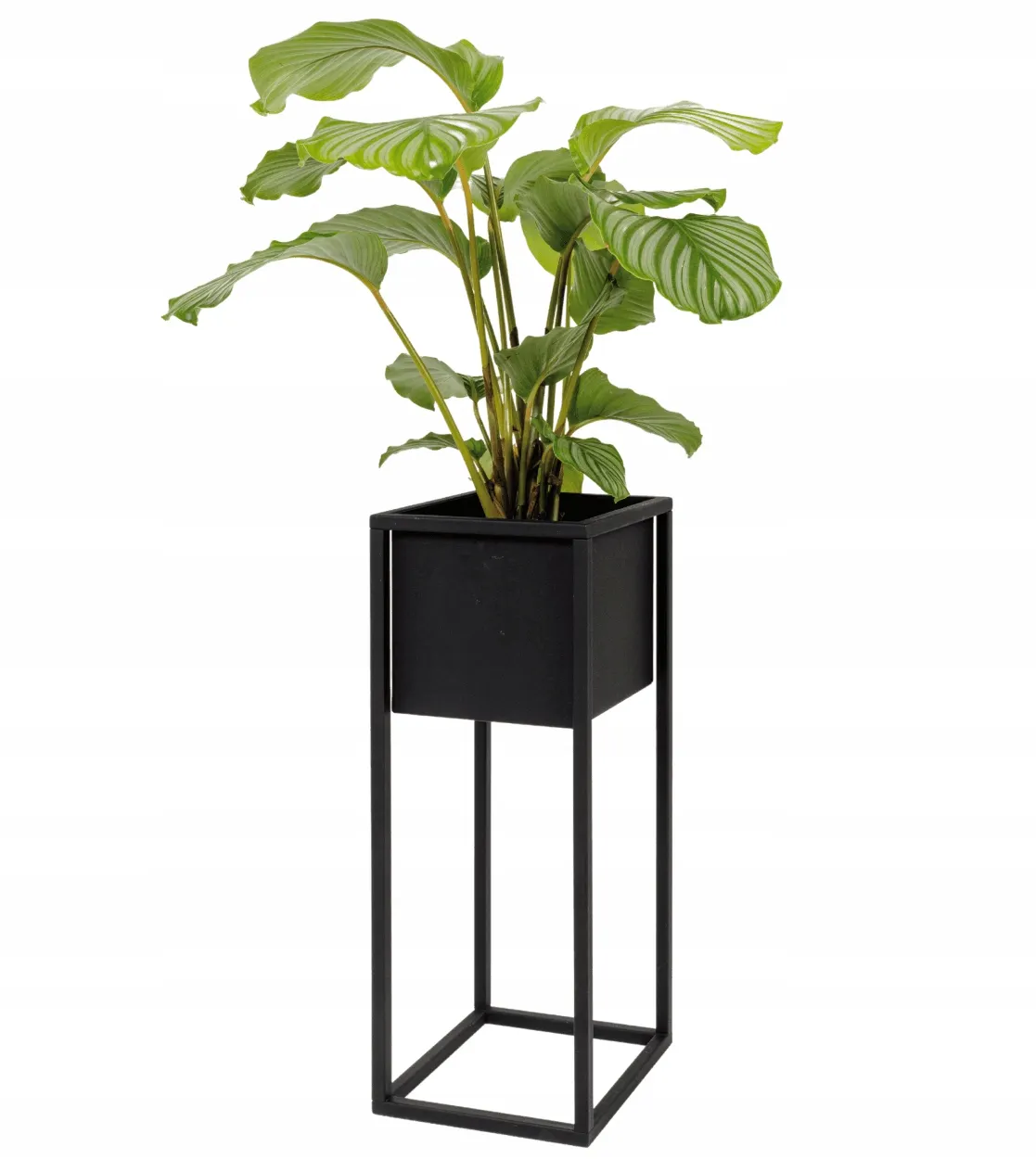 Słoik, plantator, Roślina doniczkowa, Ceramika, Wazon