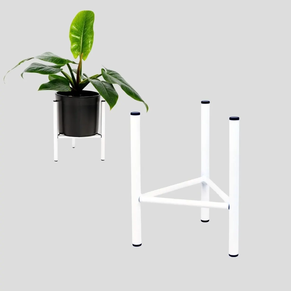 Słoik, Roślina, plantator, Roślina doniczkowa, Wazon