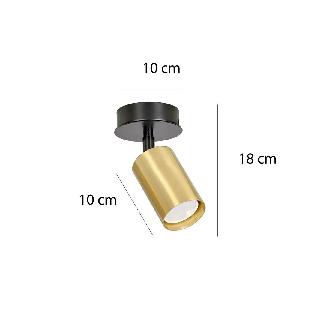 spotlight, ceiling light, gold finish, adjustable, downlight