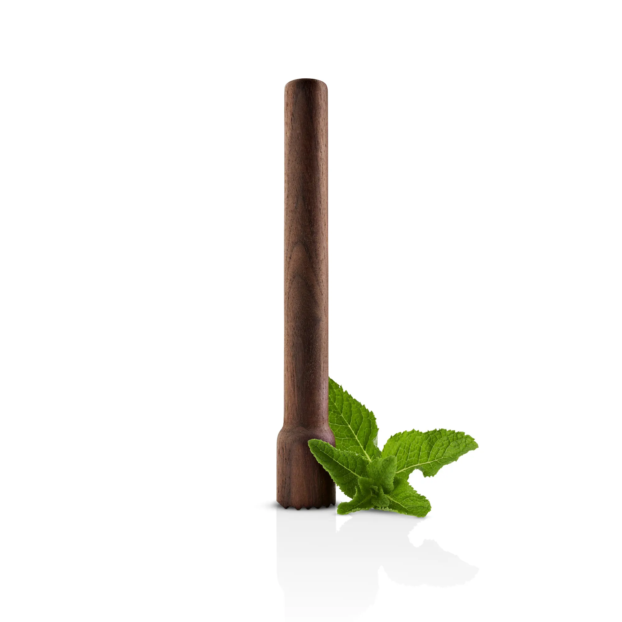 image cane, cinnamon stick, spice, mięta, zioło dekoracyjne