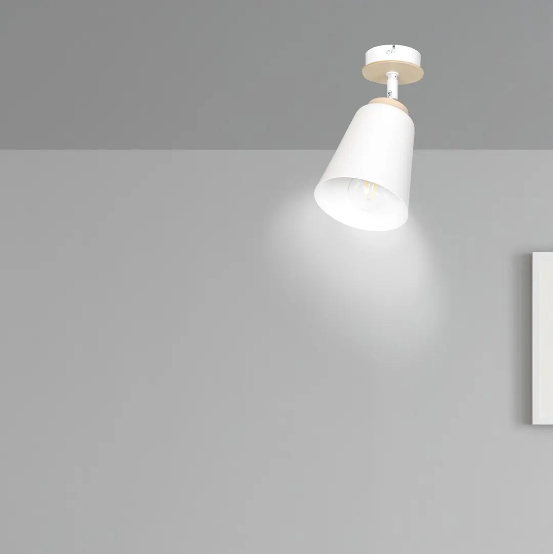 image lamp, oświetlenie sufitowe, biały, drewniane akcenty, reflektor