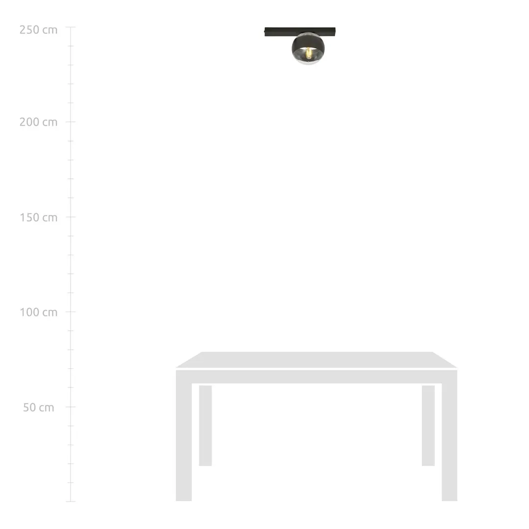 Lampa sufitowa FIT Czarny 1123/1 - 1123/1