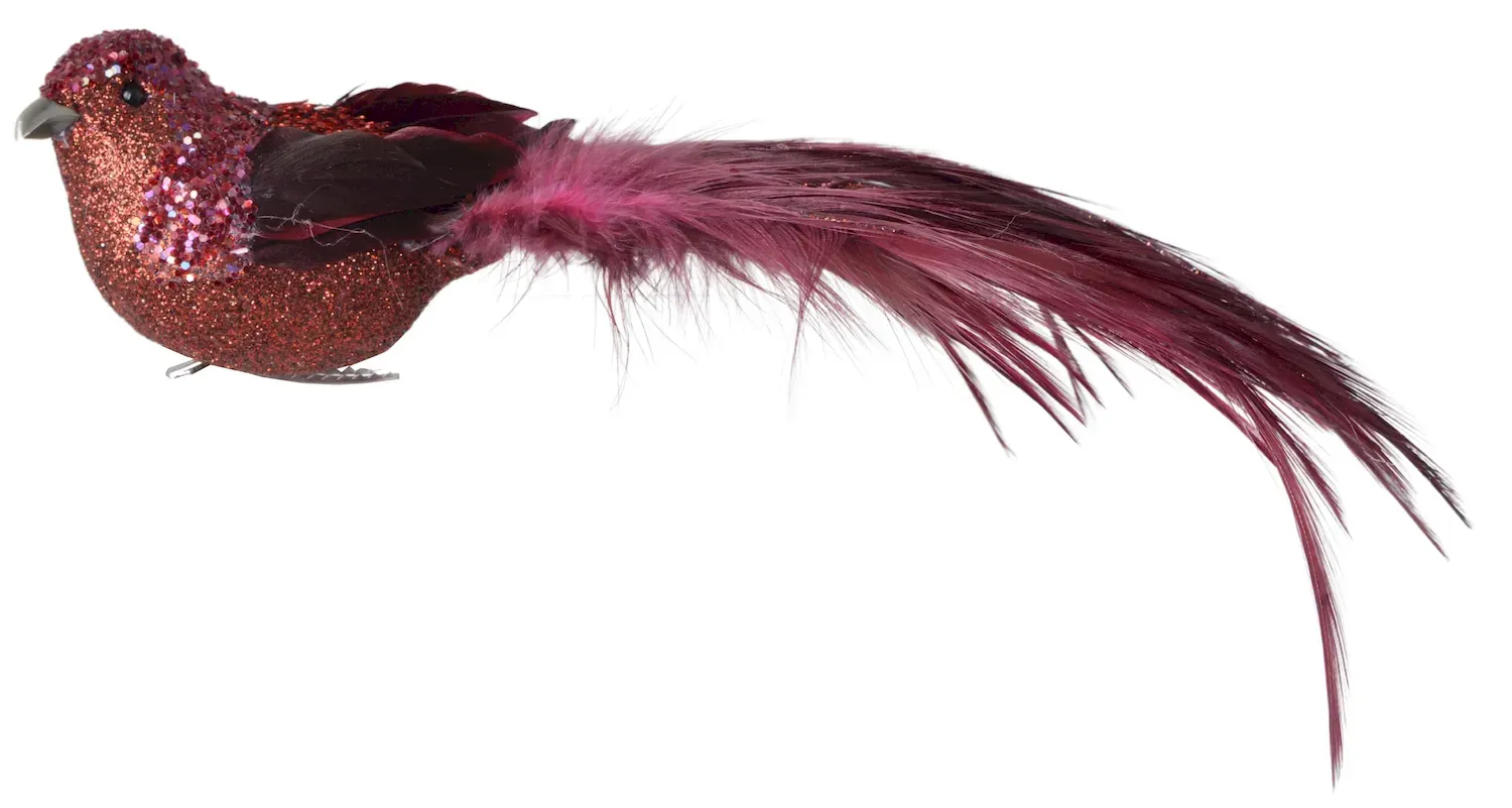 PTASZEK Z KLIPEM bordowy z bordowym ogonem PTASZEK Z KLIPEM bordowy z bordowym ogonem