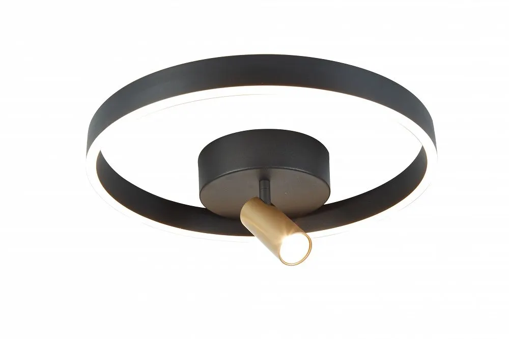 PIGNANO - Lampa sufitowa lub naścienna z dodatkowym reflektorem i ściemniaczem typu "klik"