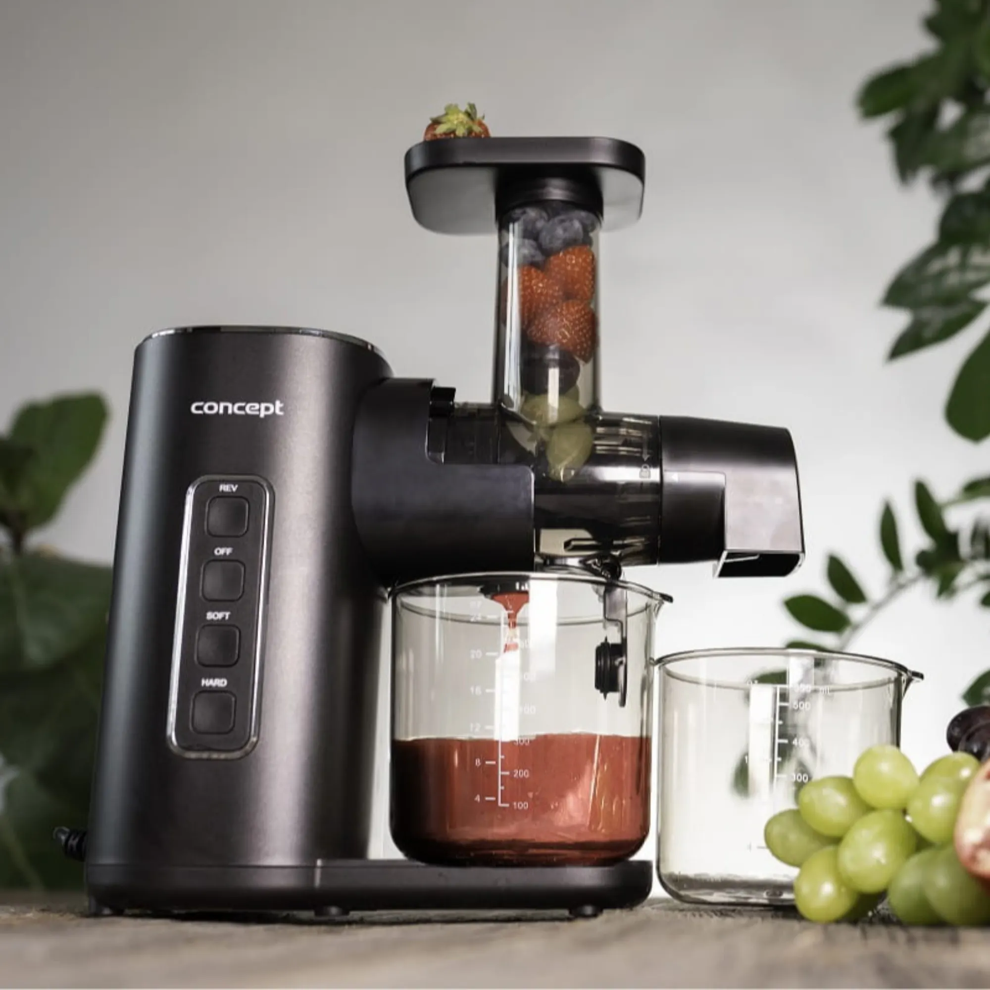 Wyciskarka wolnoobrotowa POZIOMA EASY CLEAN 150 W CONCEPT — zdjęcie 12