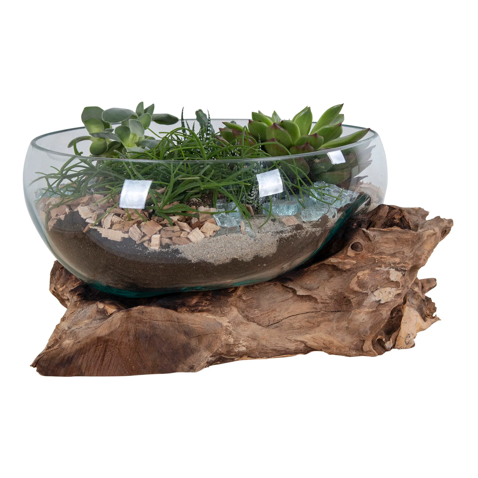 Dekoracja stojąca w szkle SAN MARINO 20 cm drewno tekowe/naturalny — zdjęcie 3