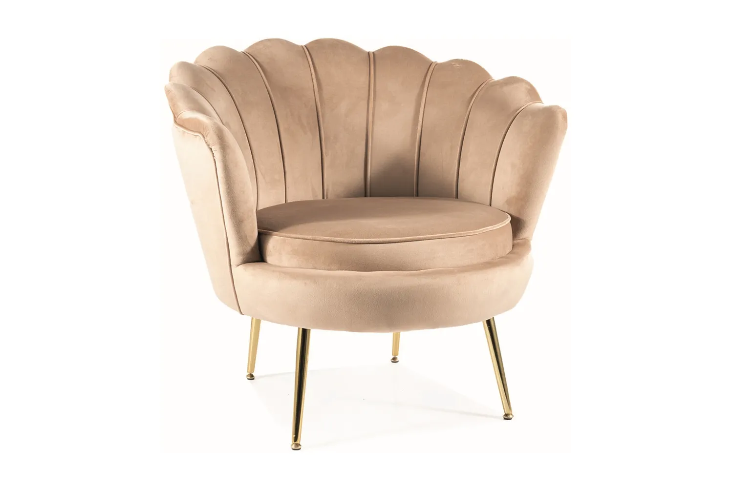 Fotel aksamitny CAMELLIA 1 VELVET Bluvel 28 beżowa złoty