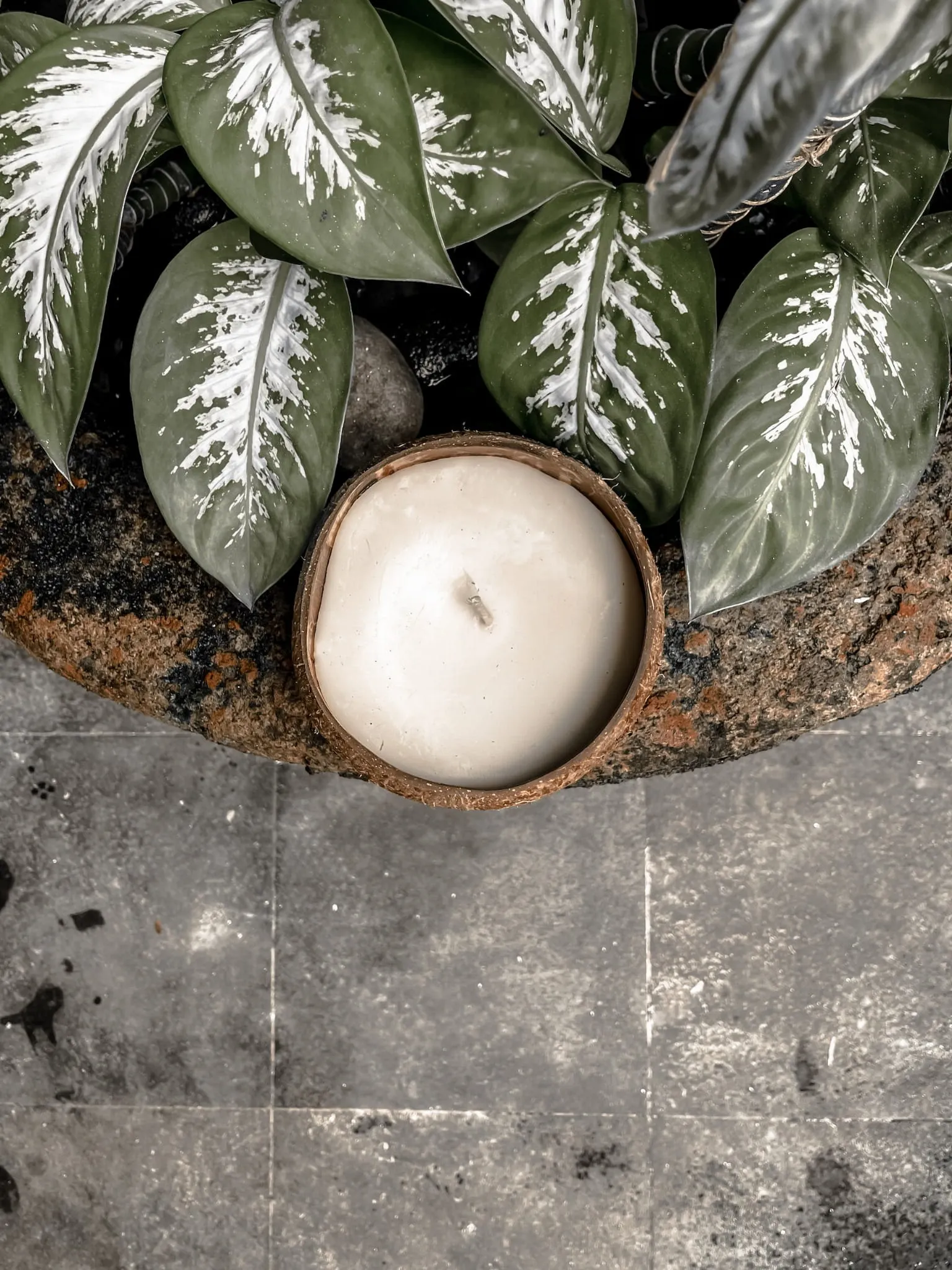 KOA ŚWIECA KOKOSOWA ZAPACHOWA - MMCC001R