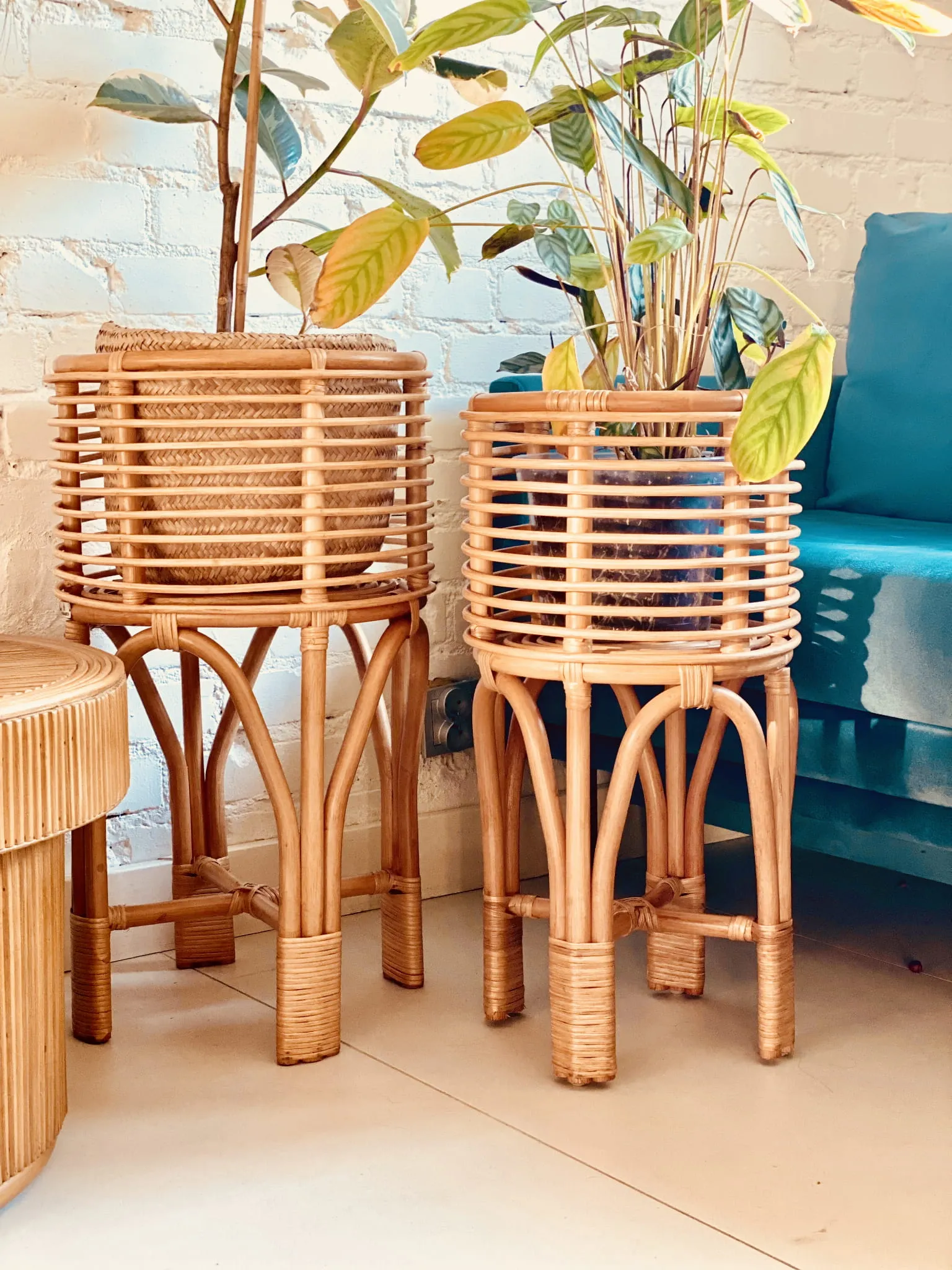 KWIETNIK POLLIE S NATURALNY Rattanowy - MMHA0111NS