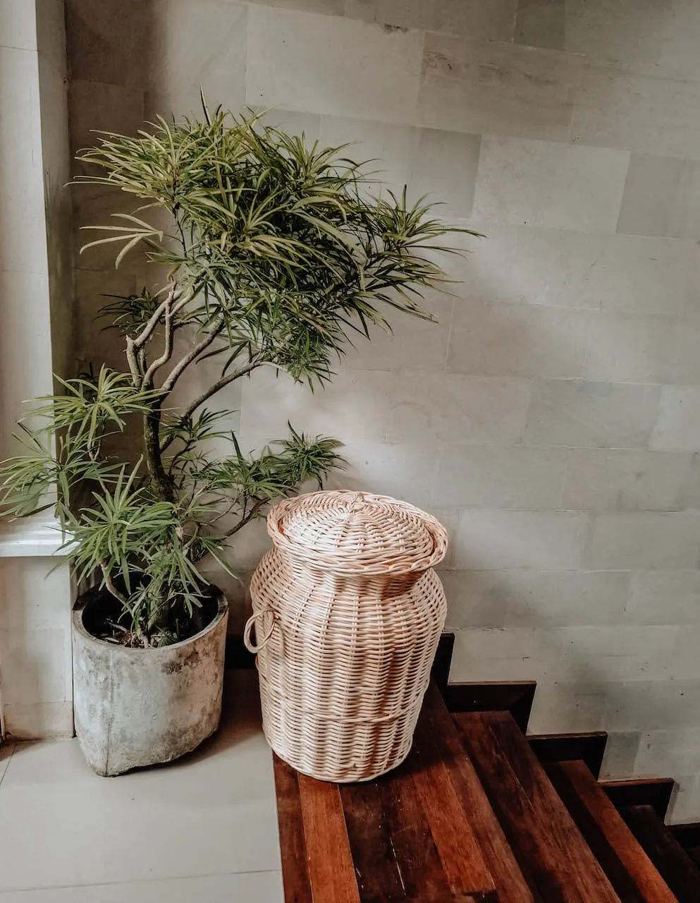 KOSZ ORIANA A - MNML002O