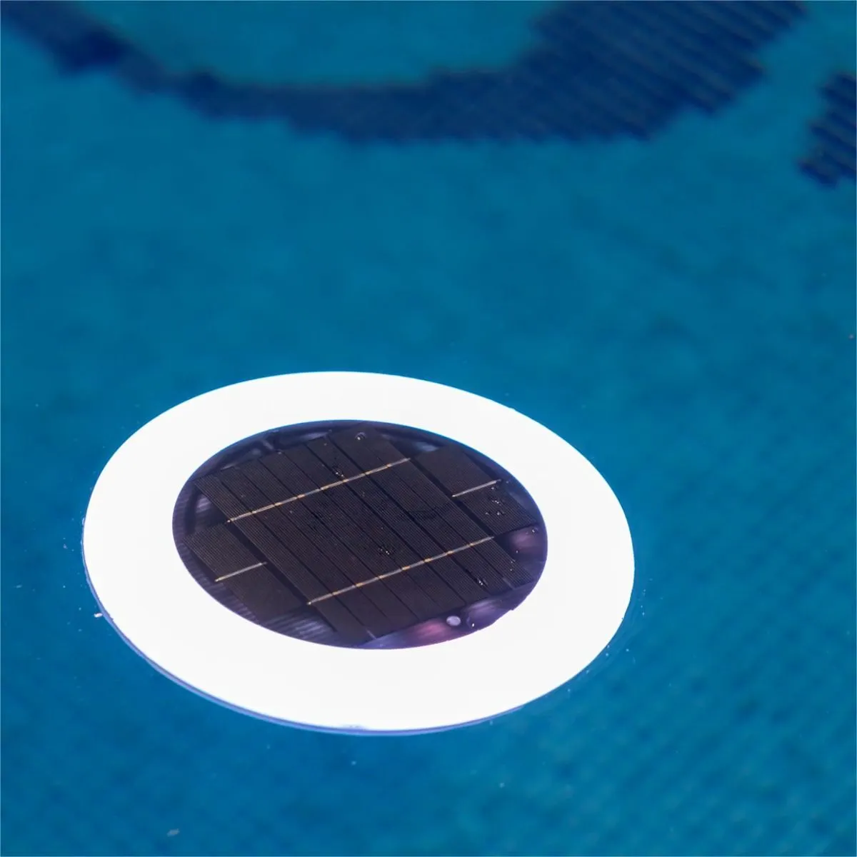 panel słoneczny, biodzielnik, fotowoltaika, ogniwo słoneczne, pokrycie basenowe