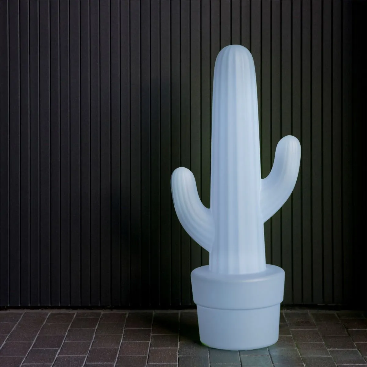 image kaktus, figurka, lampa, plastikowy, niebieski