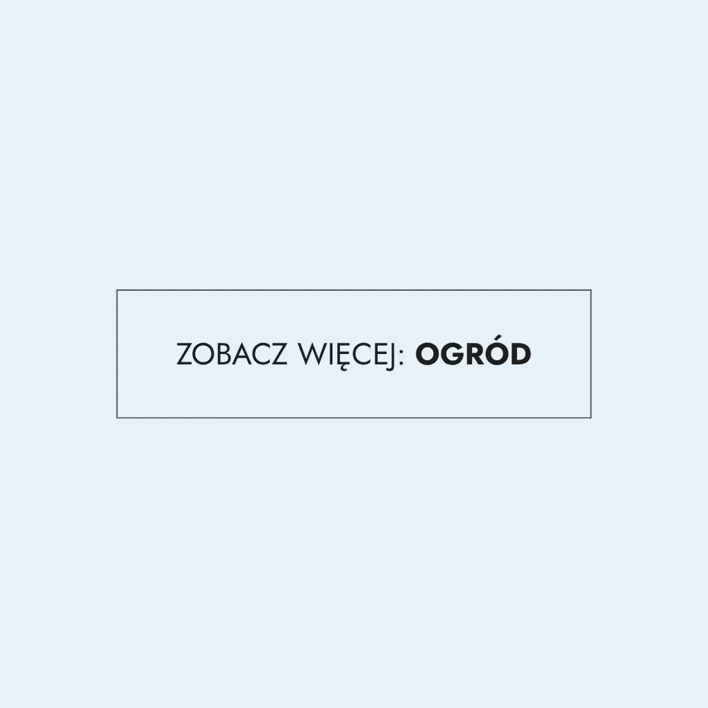 ogniskowy, ogród, banner, grafika, spot