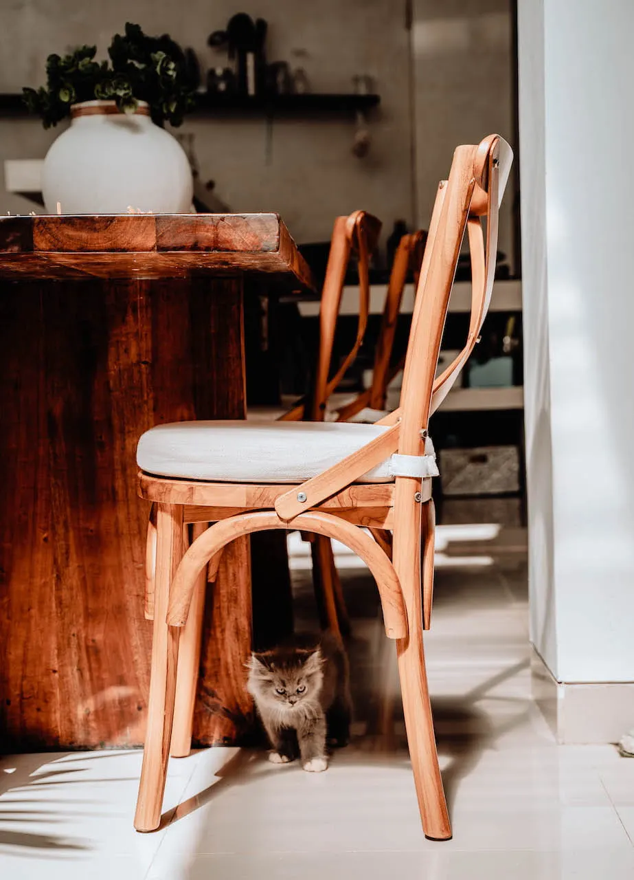 KRZESŁO TIKA DREWNO TEKOWE - MML2KTI