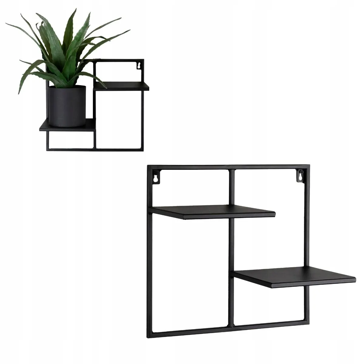 Roślina, Roślina doniczkowa, Półka, Słoik, plantator