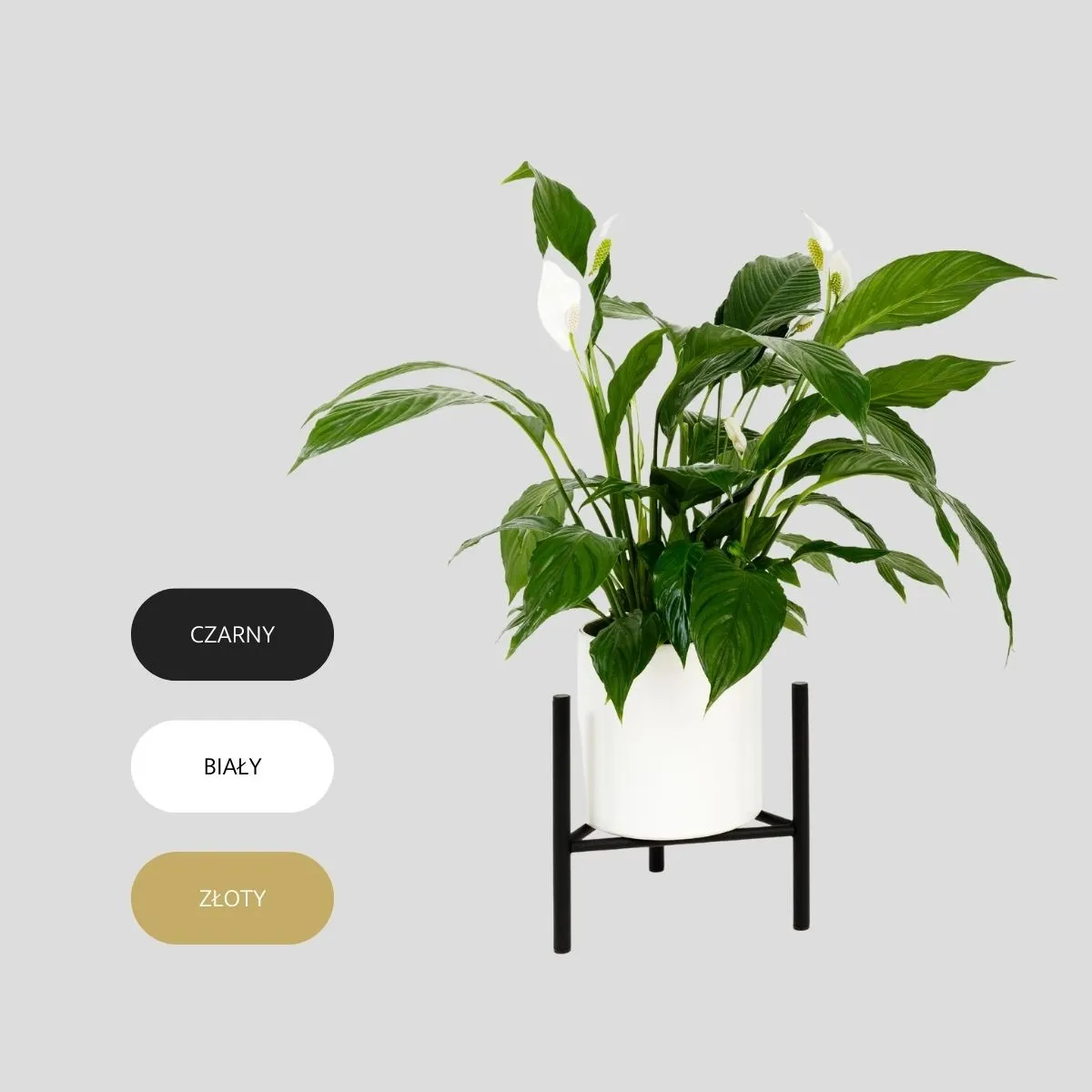 Kwietnik-stojak na donice metalowy DIJON L czarny - LD_TZ000056