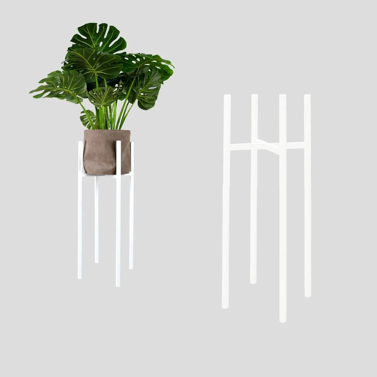 Roślina, Roślina doniczkowa, plantator, Ceramika, Liść