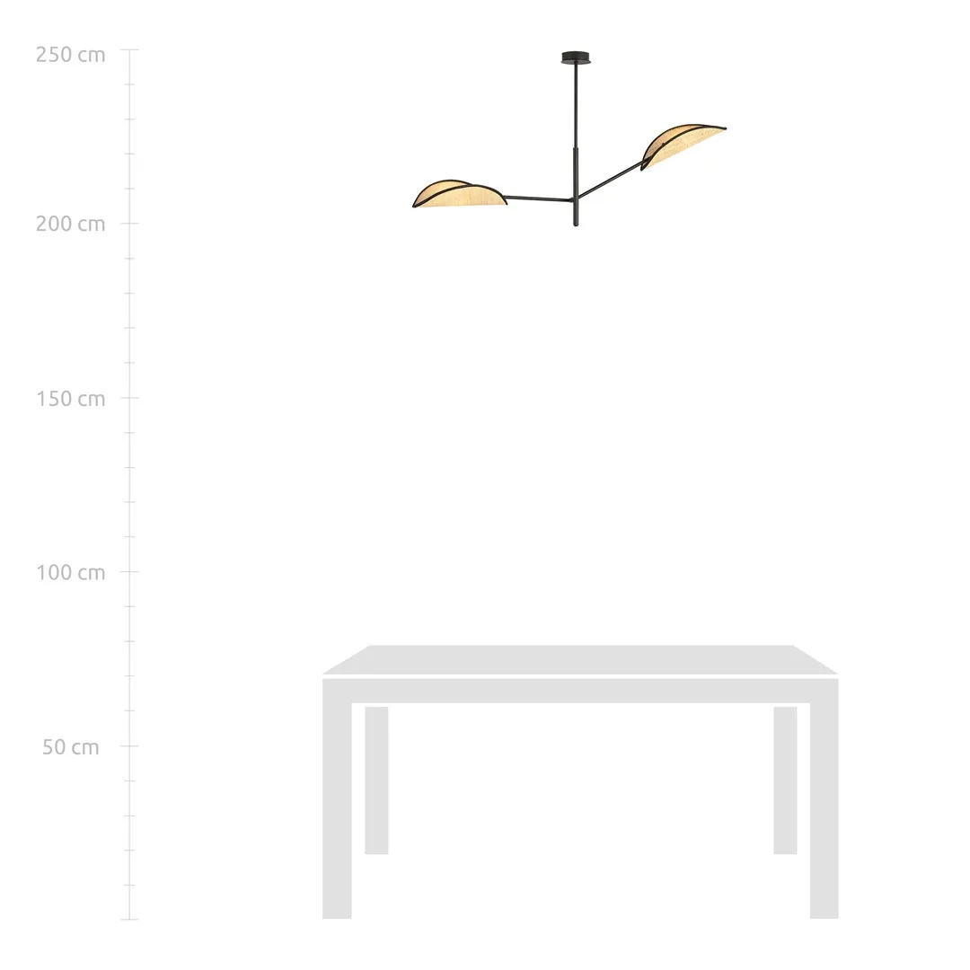 Lampa sufitowa VENE Czarny 1160/2 - 1160/2