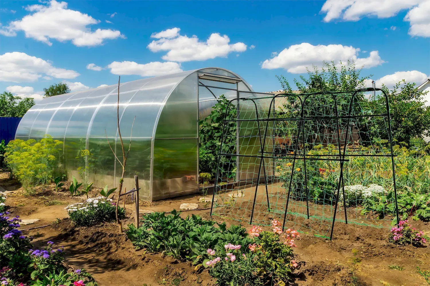 Podpora-Stojak uprawowy wielofunkcyjny CULTIVO 180x40x140 czarny - FG005449