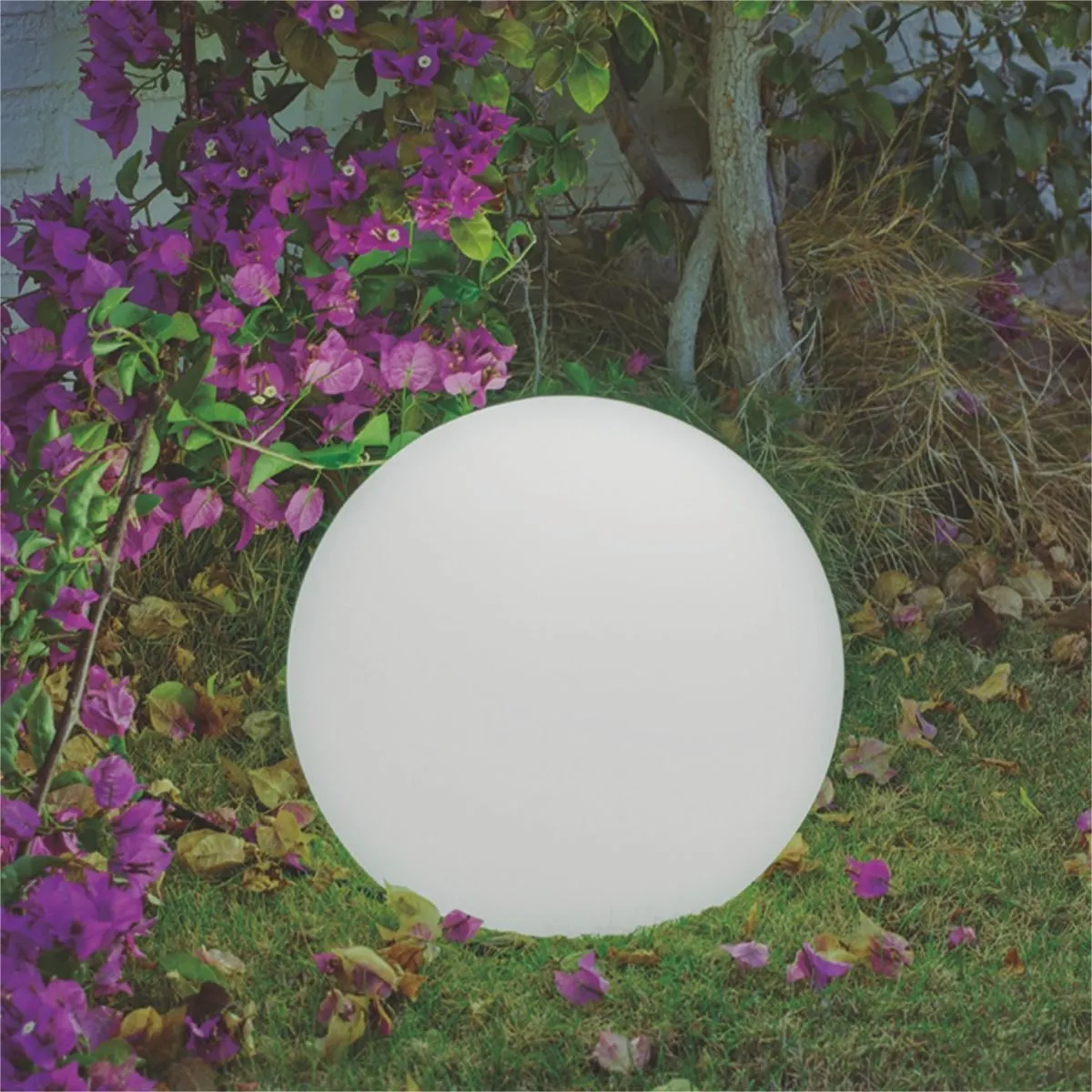 image lampa, kula, biała, ogródek, podświetlenie