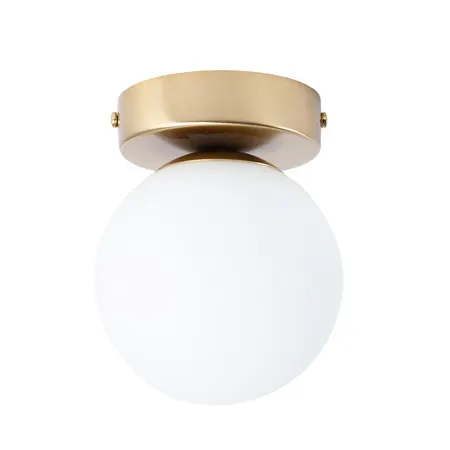 Oprawa oświetleniowa, Lampa sufitowa