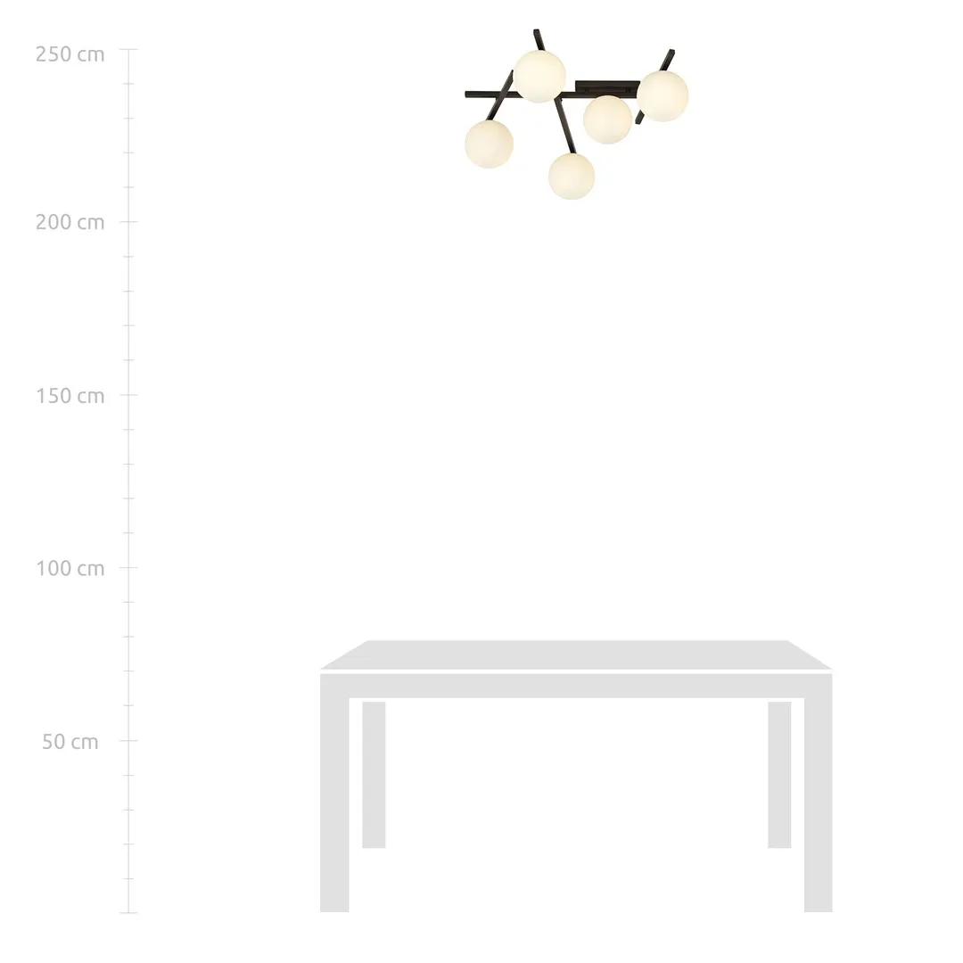 Lampa sufitowa SMART Czarny 1103/5 - 1103/5