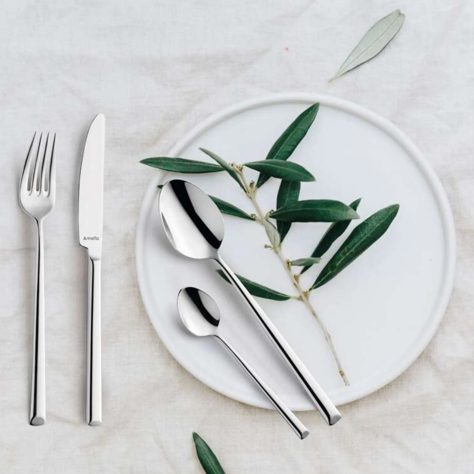 naczynie, talerz, sztućce, oliwkowy gałązka, stal nierdzewna