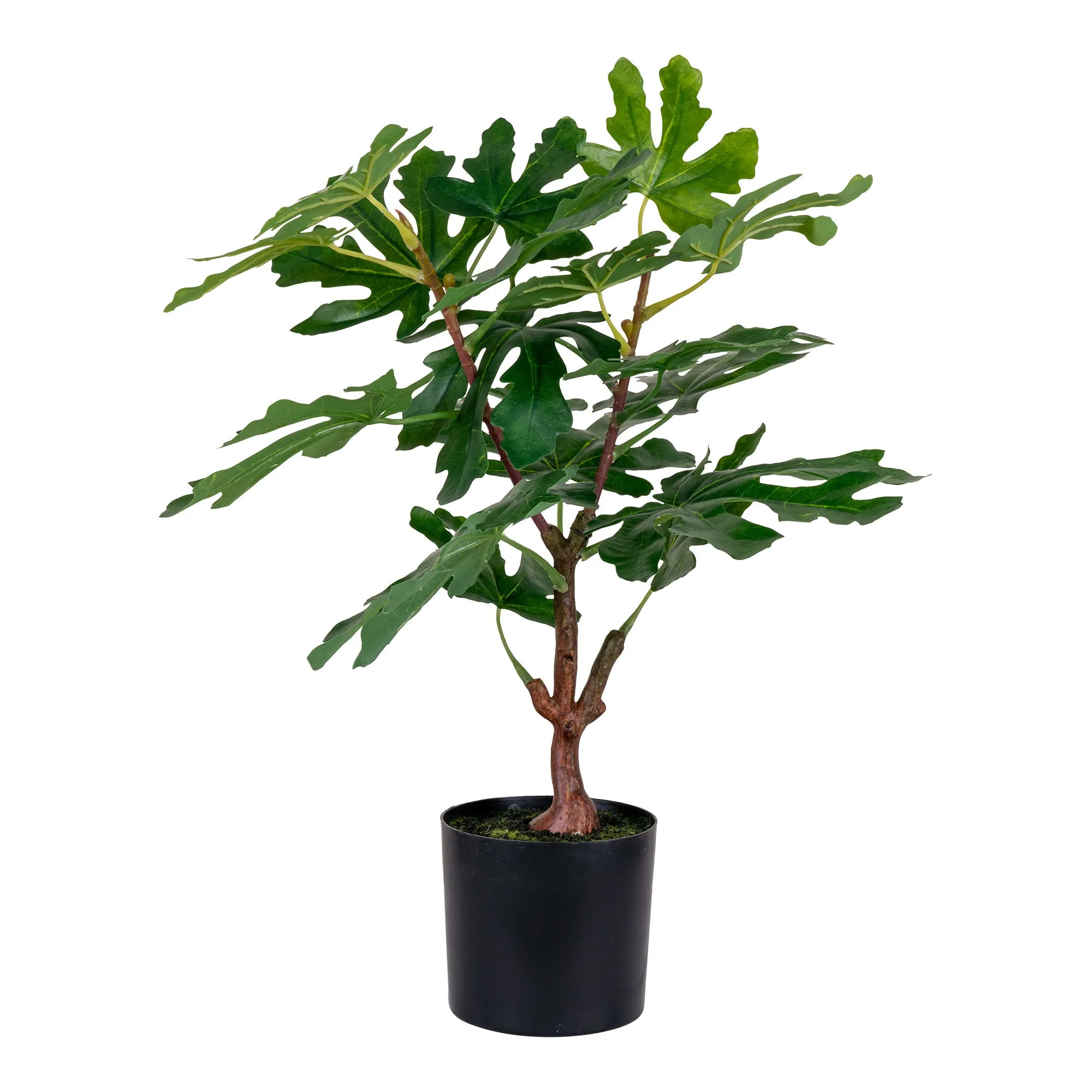 Sztuczna roślina FIG wys:60 cm zielona