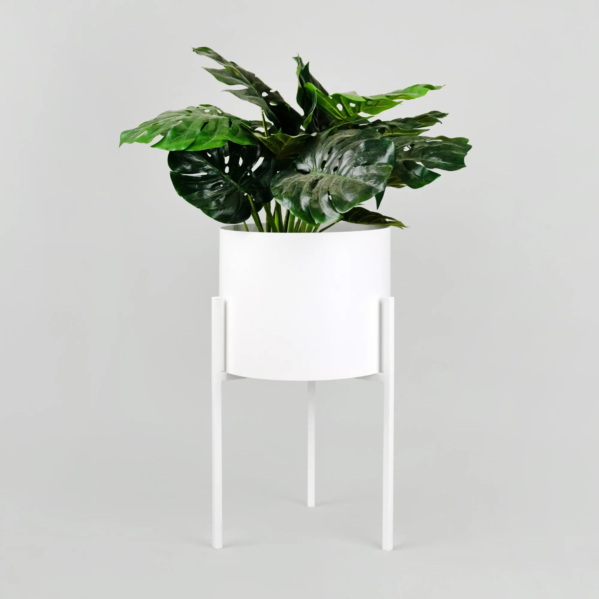 Słoik, plantator, Roślina doniczkowa, Ceramika, Wazon