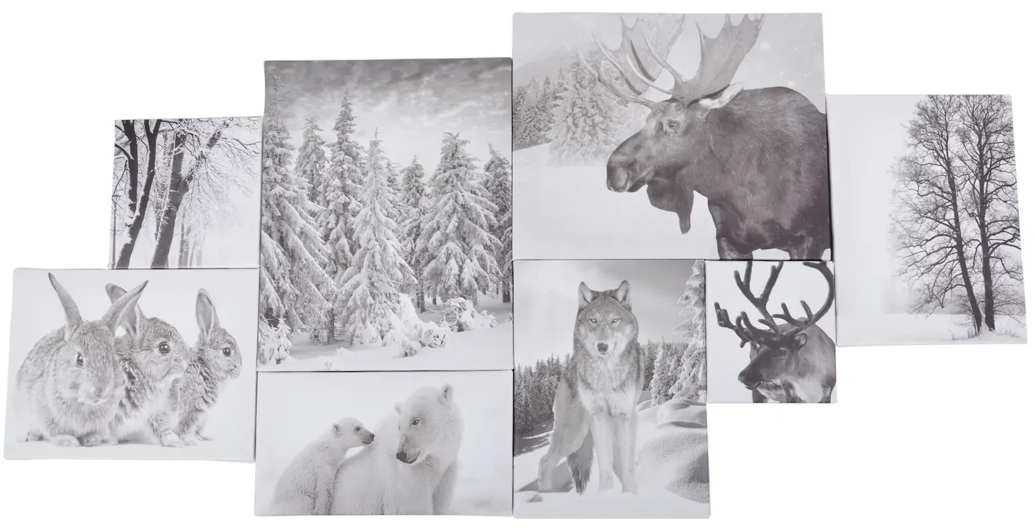 Zestaw 8 OBRAZKÓW Z WILKIEM 40x80 cm wielokolorowy Zestaw 8 OBRAZKÓW Z WILKIEM 40x80 cm wielokolorowy